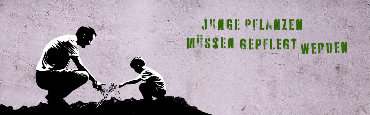 Juhi_Header_JungePflanzen